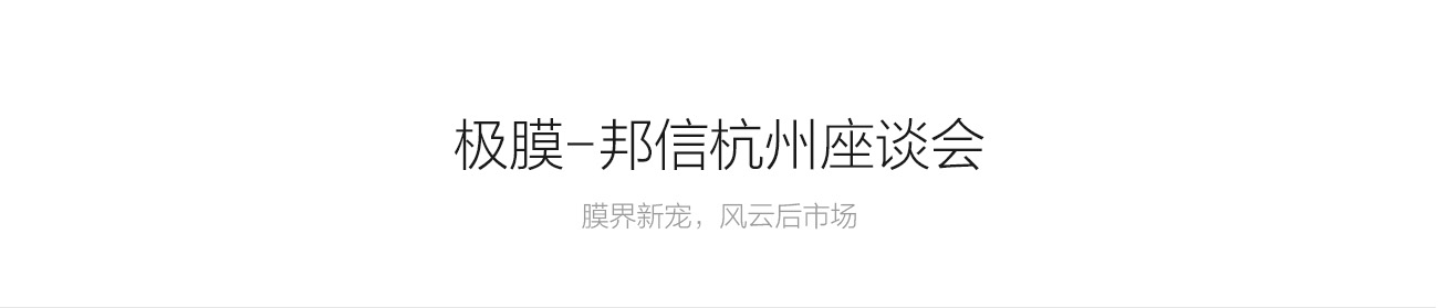隱形車衣